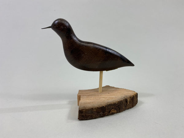 Unknown Miniature Peep Shorebird (#8198)