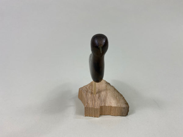 Unknown Miniature Peep Shorebird (#8198)