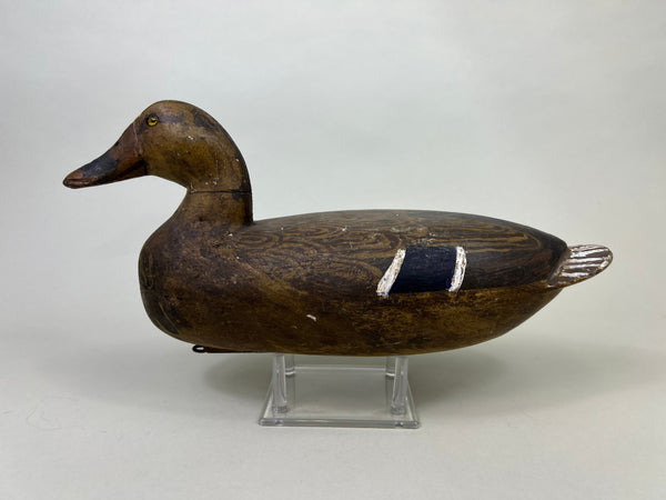 Henry Holmes Mallard Hen, Redshaw Repaint (#5029)