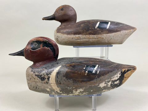 David Crooks Pair of Green Wing Teal (#8238)