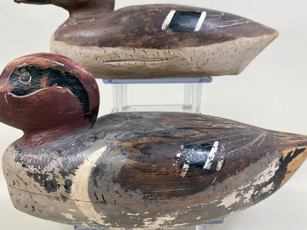 David Crooks Pair of Green Wing Teal (#8238)