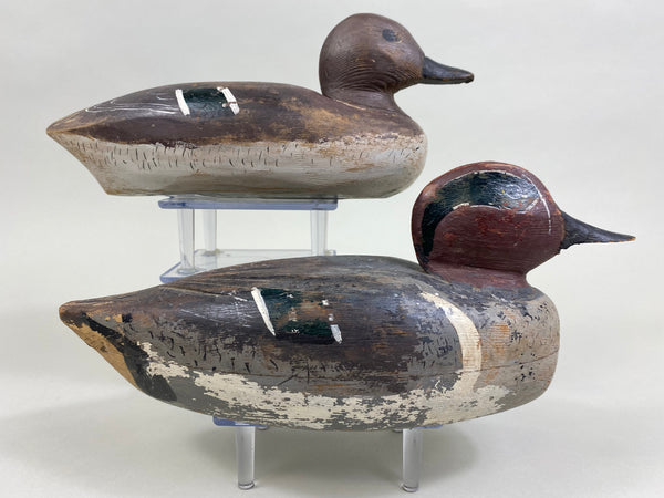David Crooks Pair of Green Wing Teal (#8238)