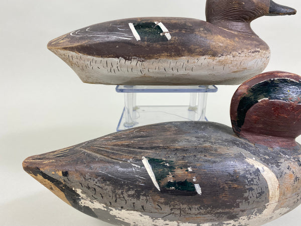 David Crooks Pair of Green Wing Teal (#8238)