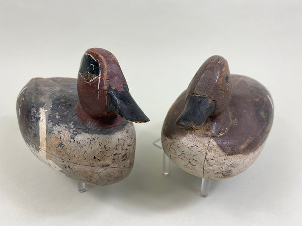 David Crooks Pair of Green Wing Teal (#8238)