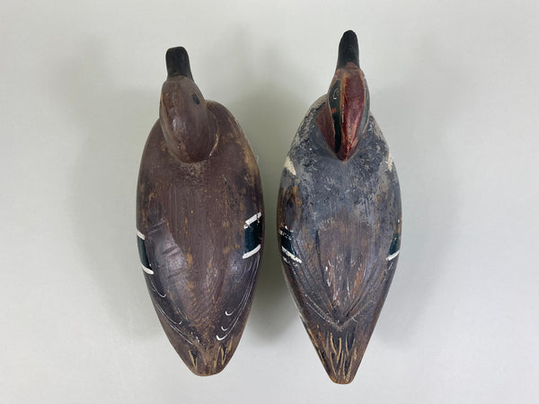 David Crooks Pair of Green Wing Teal (#8238)