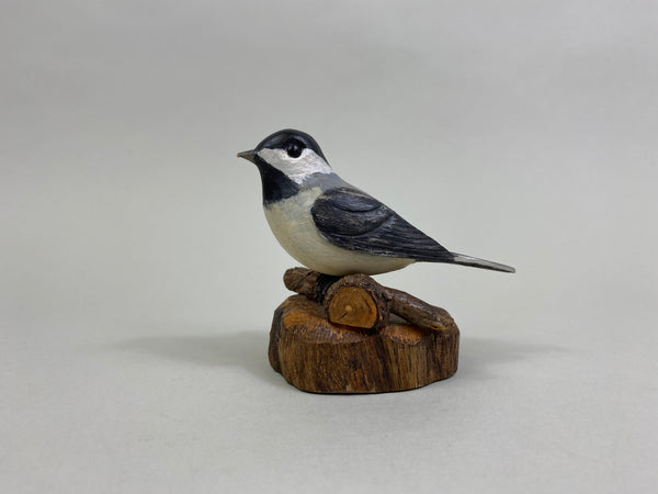 Chandler Chickadee (#8250)