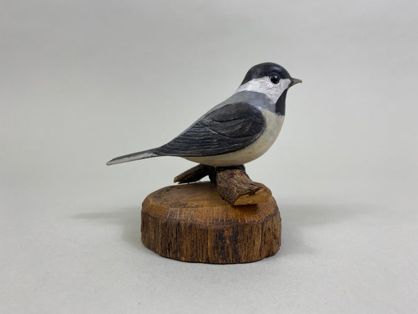 Chandler Chickadee (#8250)