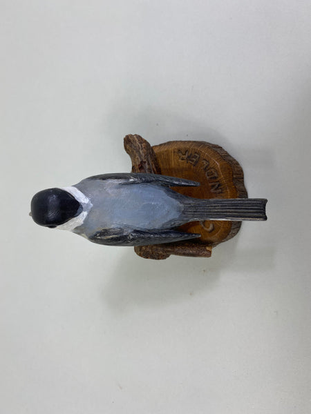 Chandler Chickadee (#8250)