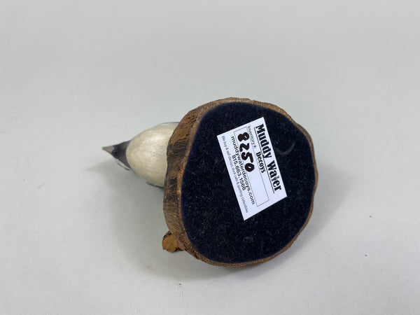 Chandler Chickadee (#8250)