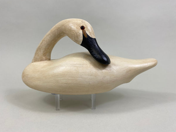 Third Size Wildfowler Preening Swan, Stamped (#8255)