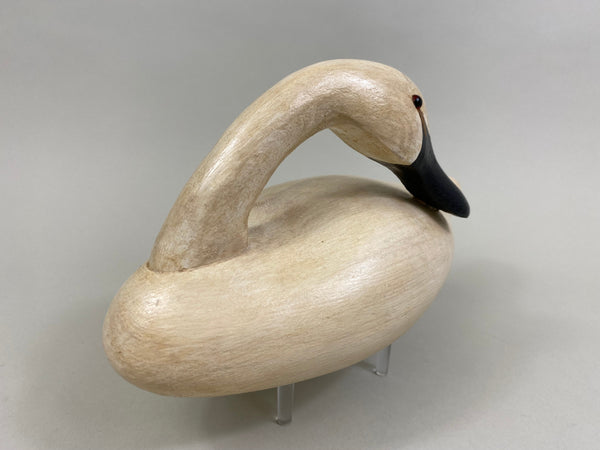 Third Size Wildfowler Preening Swan, Stamped (#8255)