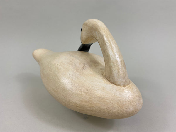 Third Size Wildfowler Preening Swan, Stamped (#8255)