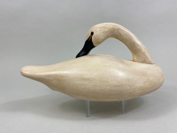 Third Size Wildfowler Preening Swan, Stamped (#8255)