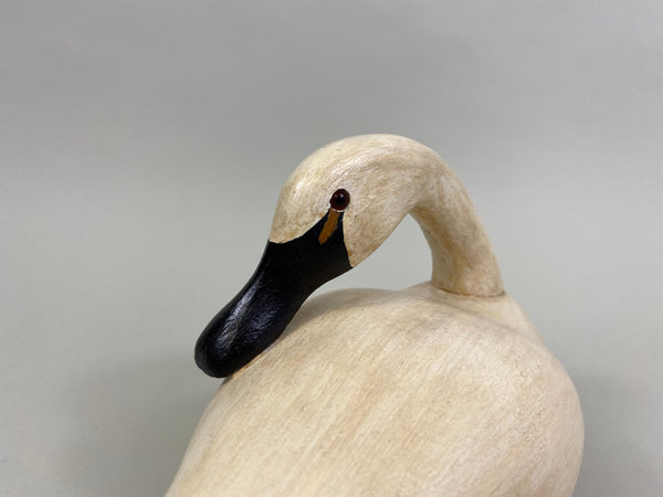 Third Size Wildfowler Preening Swan, Stamped (#8255)