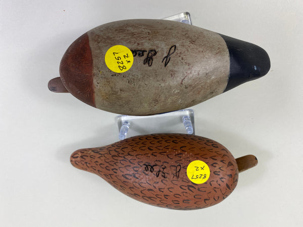 J. Gee Pair of Miniature Mallards (#8257)