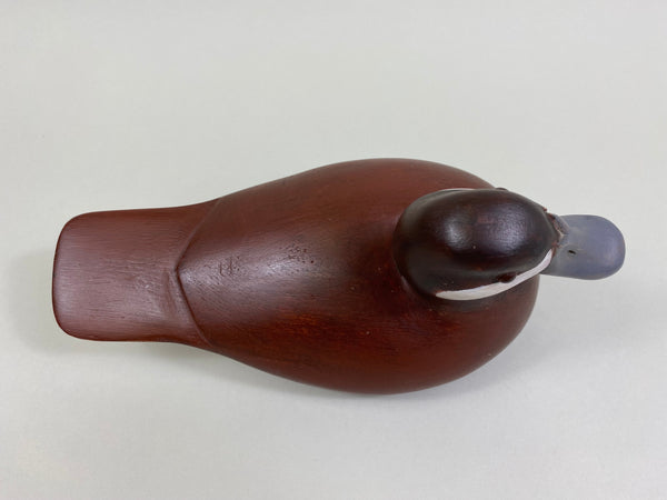 Unknown Ruddy Duck (#8259)