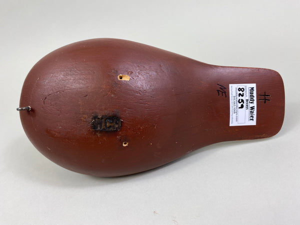 Unknown Ruddy Duck (#8259)