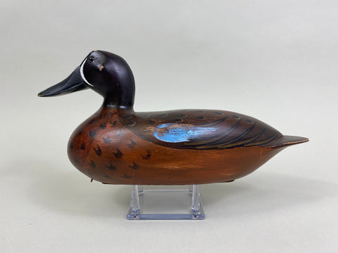 Elliston Style Blue Wing Teal Drake (#8260)