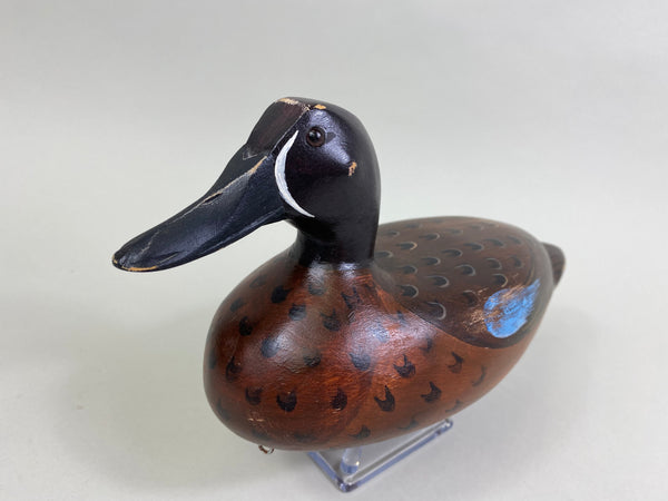 Elliston Style Blue Wing Teal Drake (#8260)