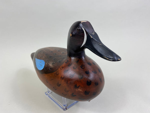 Elliston Style Blue Wing Teal Drake (#8260)