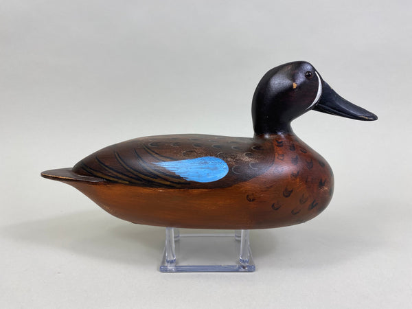 Elliston Style Blue Wing Teal Drake (#8260)