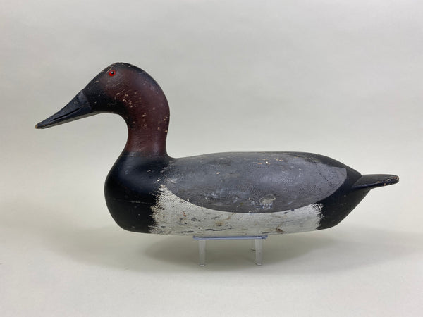 Bert Graves Canvasback Drake, Voorhees Rig (#8261)
