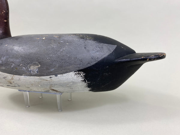 Bert Graves Canvasback Drake, Voorhees Rig (#8261)