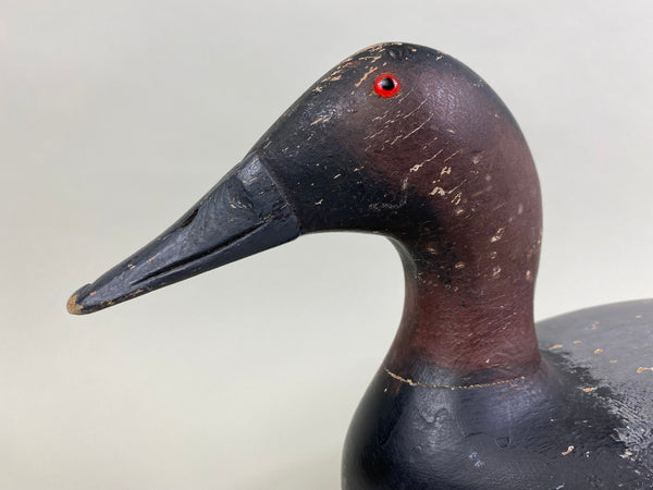 Bert Graves Canvasback Drake, Voorhees Rig (#8261)