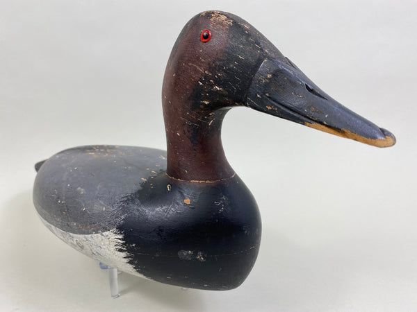 Bert Graves Canvasback Drake, Voorhees Rig (#8261)