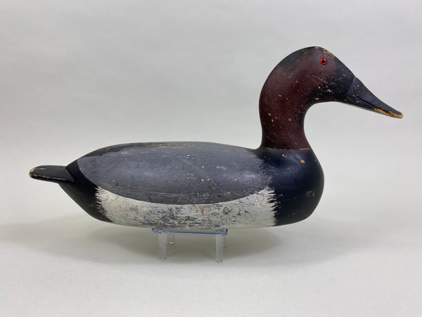 Bert Graves Canvasback Drake, Voorhees Rig (#8261)