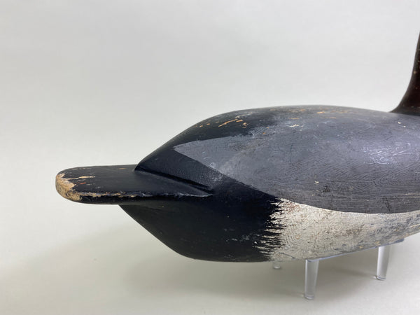 Bert Graves Canvasback Drake, Voorhees Rig (#8261)