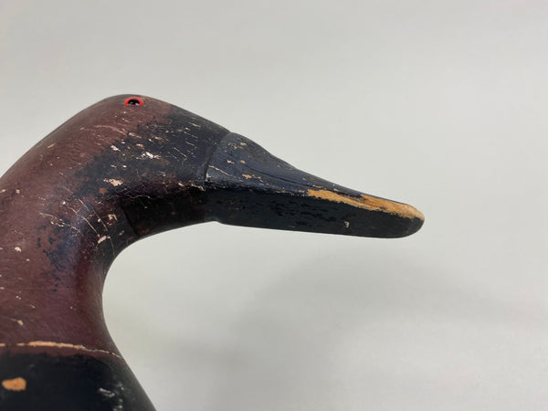 Bert Graves Canvasback Drake, Voorhees Rig (#8261)