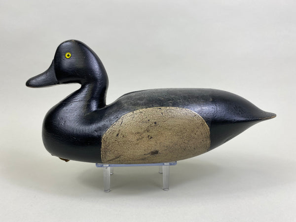 Joe King Bluebill, Circa 1890's (#8271)