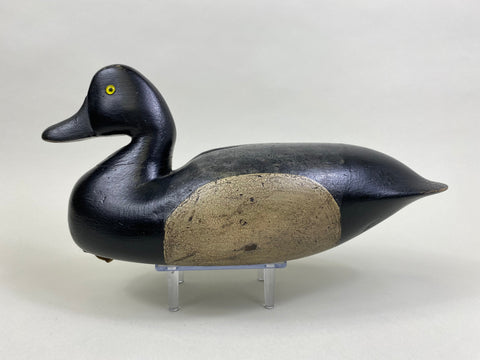 Joe King Bluebill, Circa 1890's (#8271)