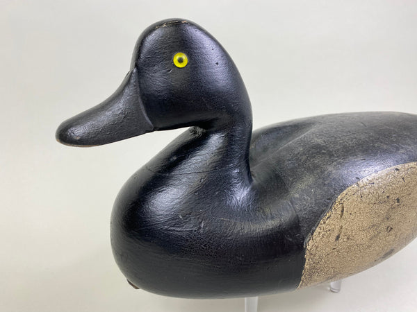 Joe King Bluebill, Circa 1890's (#8271)