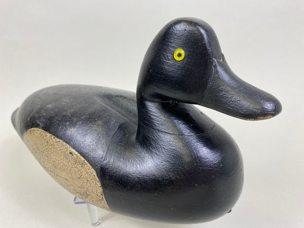 Joe King Bluebill, Circa 1890's (#8271)