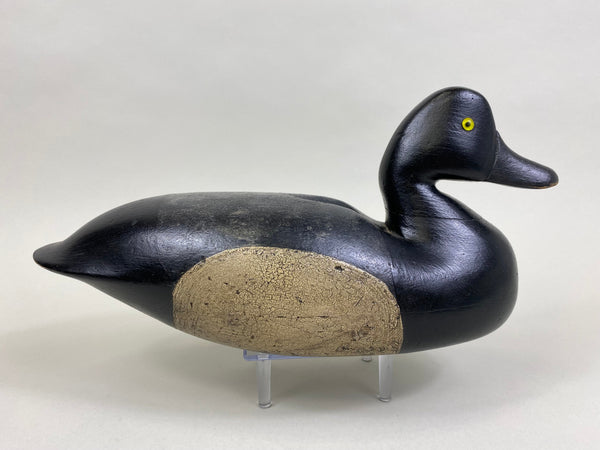 Joe King Bluebill, Circa 1890's (#8271)