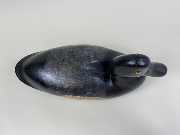 Joe King Bluebill, Circa 1890's (#8271)