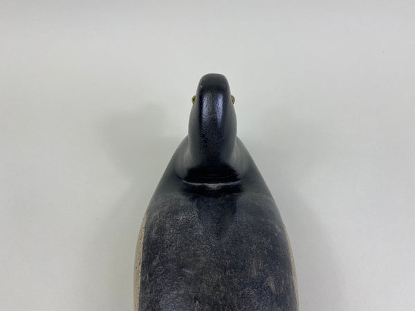 Joe King Bluebill, Circa 1890's (#8271)