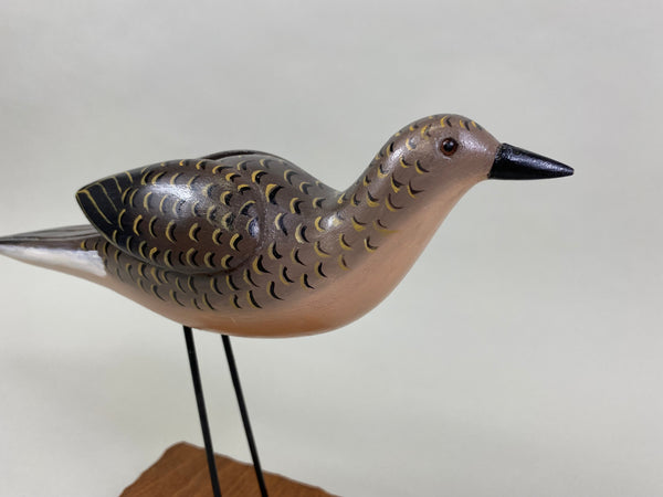 Katy Perdew Mourning Dove (#8282)