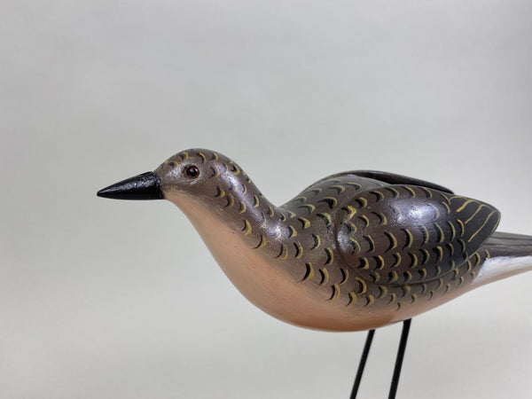 Katy Perdew Mourning Dove (#8282)