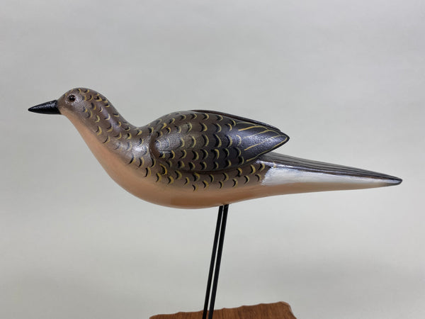 Katy Perdew Mourning Dove (#8282)