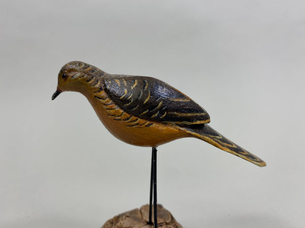 Miniature Dove, Unknown (#8283)
