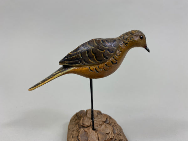 Miniature Dove, Unknown (#8283)