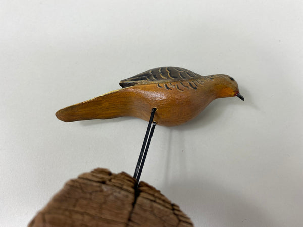 Miniature Dove, Unknown (#8283)