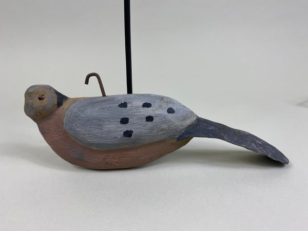 Peter Storm Passenger Pigeon (#8286)