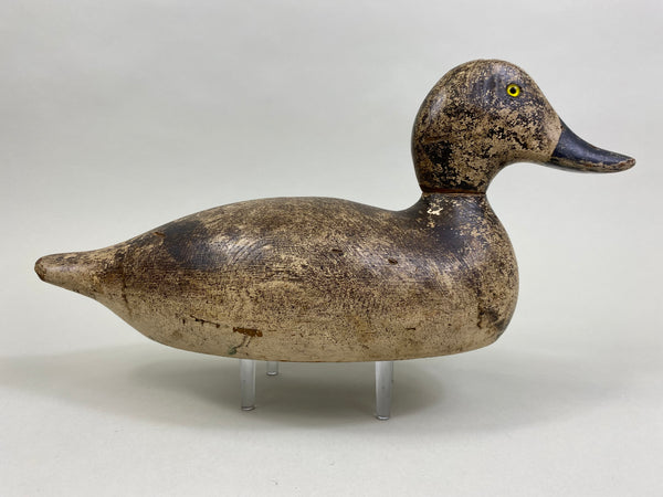 Evans Factory Bluebill Hen (#8291)