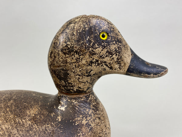 Evans Factory Bluebill Hen (#8291)