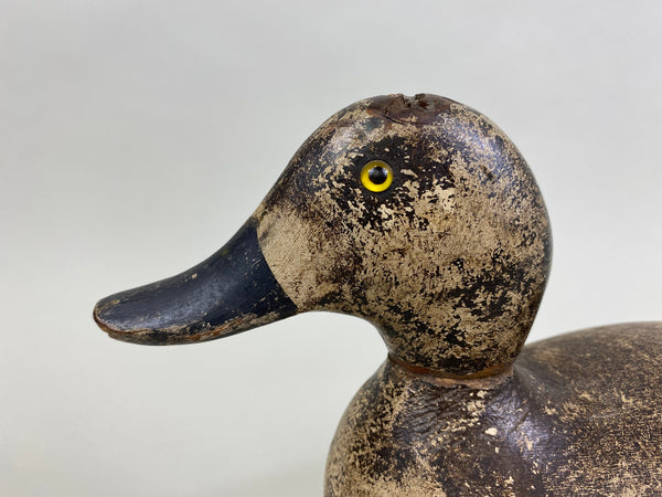 Evans Factory Bluebill Hen (#8291)