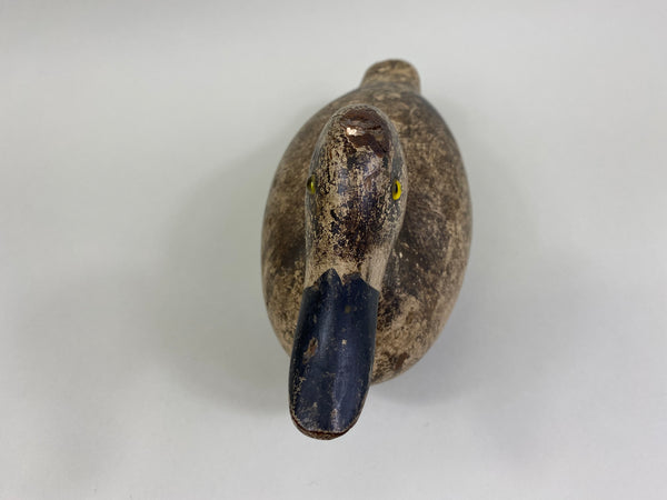 Evans Factory Bluebill Hen (#8291)